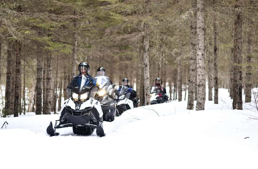 15 min. Tadoussac: Snowmobile Expedition in Saguenay Fjord - Who will enjoy this most?