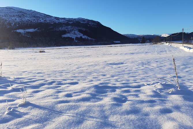 1Day Tour from Bergen to Flåm, Nærøyfjord Cruise & Stegastein - What this Bergen to Flåm day actually covers