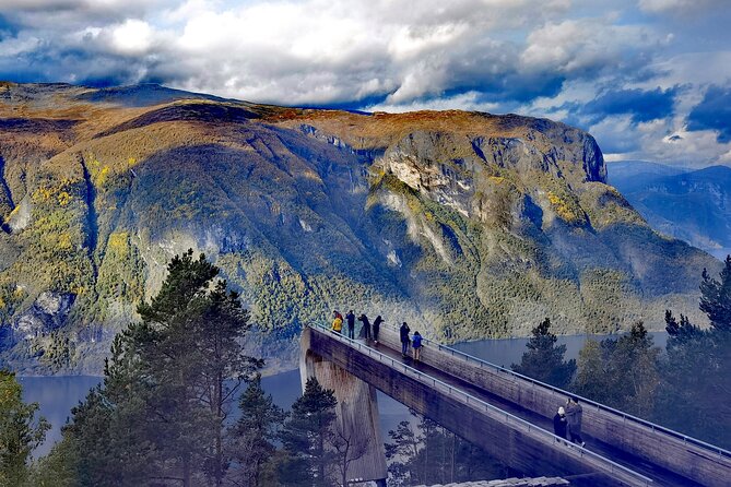 1Day Tour from Bergen to Flåm, Nærøyfjord Cruise & Stegastein - Tvindefossen is a quick, worthwhile waterfall stop