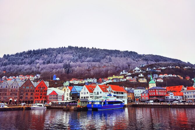 1Day Tour from Bergen to Flåm, Nærøyfjord Cruise & Stegastein - The Flåm Railway is worth weighing carefully