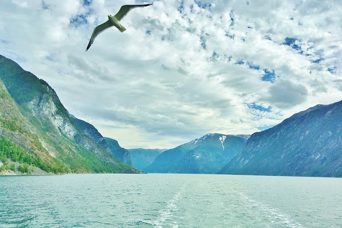 2-Day Round Trip from Bergen: THE GRAND SOGNEFJORD – fjords, waterfalls, glacier - Fjærland or the direct route back