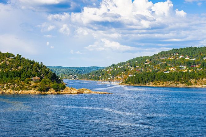 2-Hour Oslo Fjord Sightseeing Cruise by Sailing Ship - The winter option: combining the fjord with Bygdøy museums