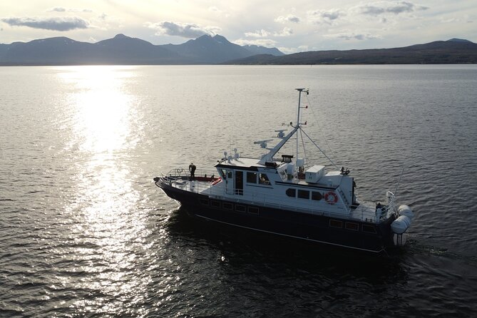 3.5-Hour Arctic Magic with Fjord and Whale Watching Adventure - From Markedsgata 6 to the Altafjord harbor