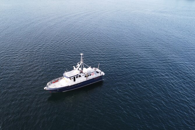 3.5-Hour Arctic Magic with Fjord and Whale Watching Adventure - How the staff affect the experience
