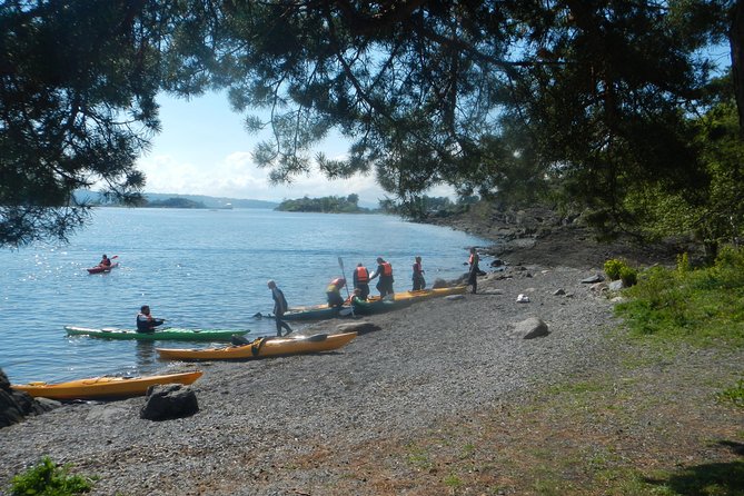 3- Hour Kayak Tour on the Oslofjord - Weather, waves, and getting wet