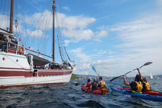 3- Hour Kayak Tour on the Oslofjord - The guides make the difference