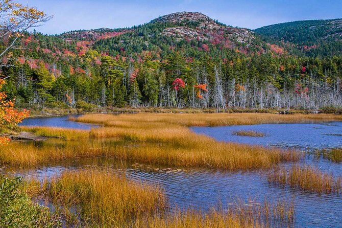 3 Hour: Personalized & Private Acadia with Somes Sound - Northeast Harbor for shops, coffee, and harbor life