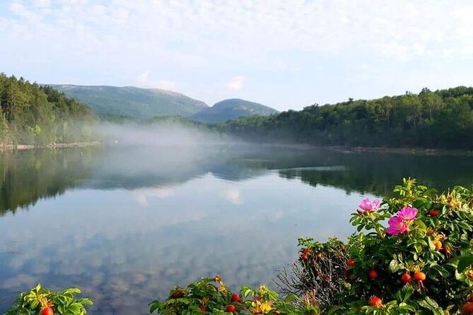 3 Hour: Personalized & Private Acadia with Somes Sound - Starting in Bar Harbor or at Hulls Cove