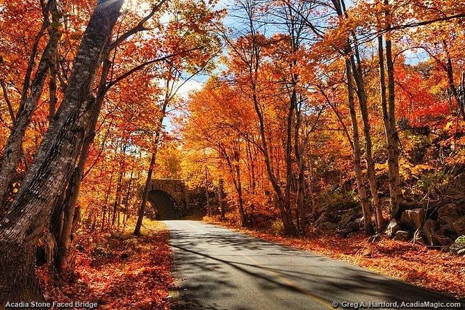 4 Hour: Elite & Exclusive Acadia with Fjord and Mansions - Park Loop Road sets the rhythm