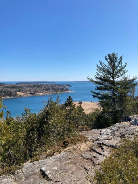 4 Hour Private Tour: Acadia, Fjord, Gardens & Mansions - Key Points to Know Before Booking