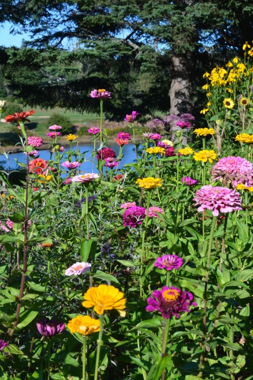 4 Hour Private Tour: Acadia, Fjord, Gardens & Mansions - Somes Sound and the Harbor Towns