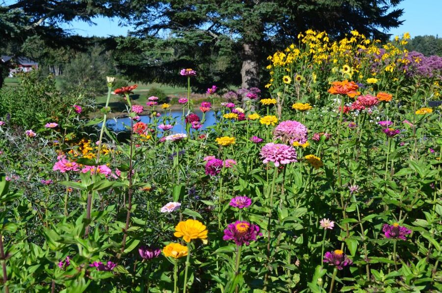 4 Hour Private Tour: Acadia, Fjord, Gardens & Mansions - Who Will Get the Most From This Tour