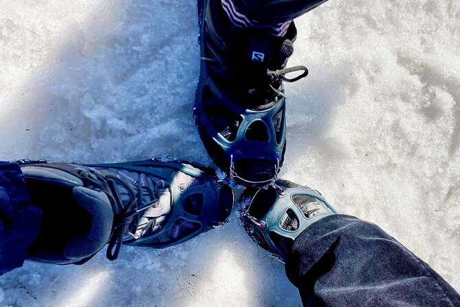 4 hours Best View of the Oslofjord Winter Edition - Why this winter outing works so well in Oslo