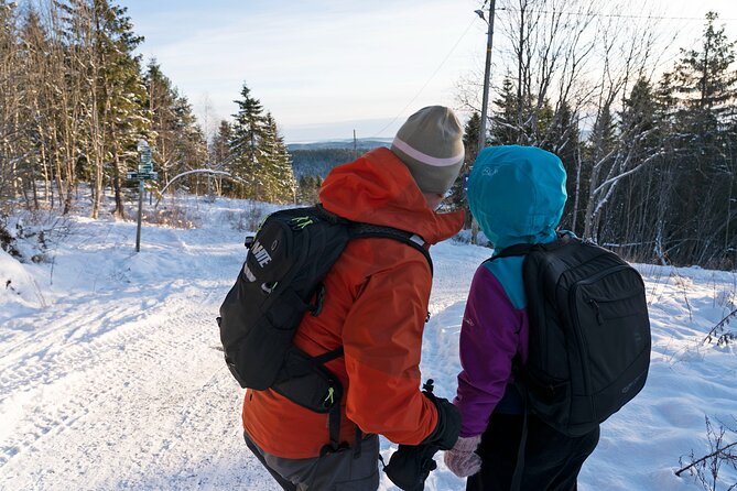 4 hours Best View of the Oslofjord Winter Edition - The return to Oslo and Jernbanetorget