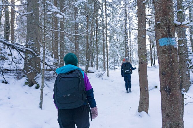 4 hours Best View of the Oslofjord Winter Edition - What the $107.17 price really includes