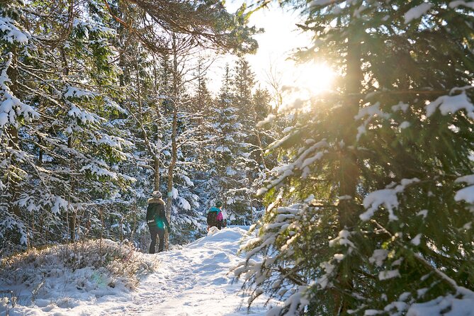 4 hours Best View of the Oslofjord Winter Edition - Who will enjoy Vettakollen most
