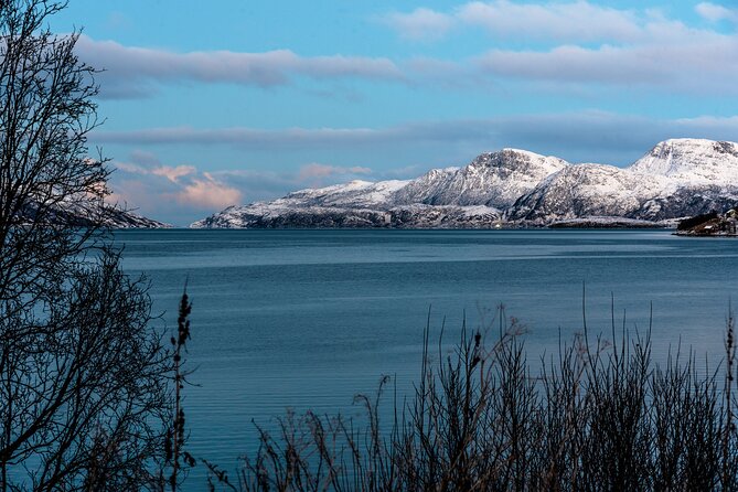 5 Fjords Tour by Minivan in 4 Hours - Why five fjords work in four hours