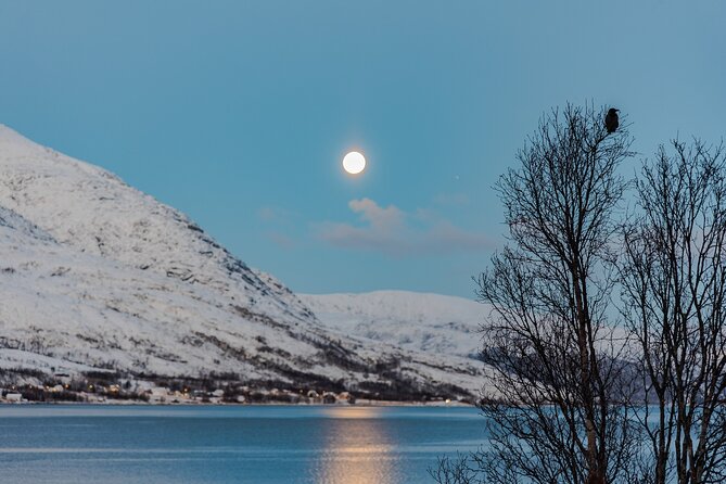 5 Fjords Tour by Minivan in 4 Hours - Ersfjordbotn: the first fjord view