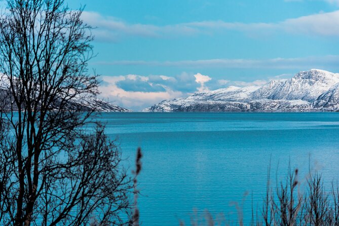 5 Fjords Tour by Minivan in 4 Hours - Meeting at the Radisson Blu Hotel at 10:00 am