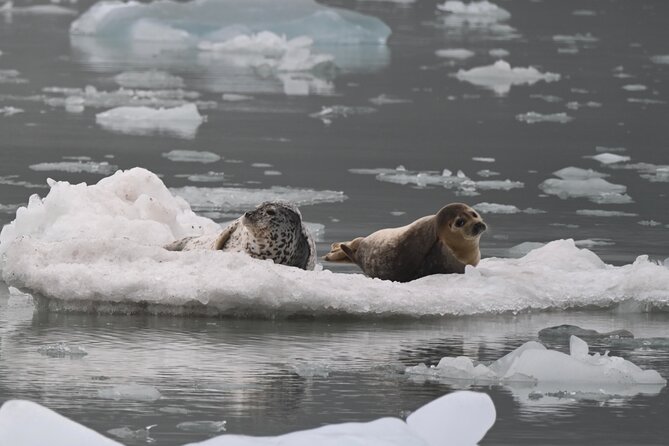 8hr Kenai Fjords Whale Watching Tour w/ 1hr Fishing 16 Passengers - Who Will Enjoy This Tour Most?