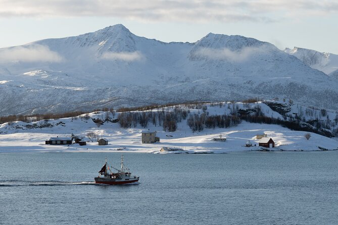 All-Inclusive Arctic Fjords and Sommarøy Scenic Tour - Five Things That Matter Most