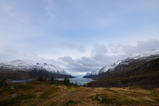 All-Inclusive Arctic Fjords and Sommarøy Scenic Tour - Why Kvaløya Makes a Strong Day Trip From Tromsø