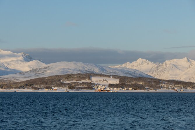 All-Inclusive Arctic Fjords and Sommarøy Scenic Tour - Is $220.77 a Fair Price?