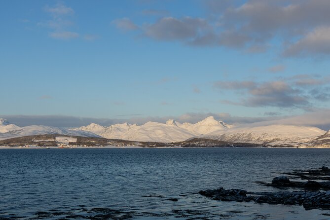 All-Inclusive Arctic Fjords and Sommarøy Scenic Tour - The Mercedes Sprinter Ride and Small-Group Feel