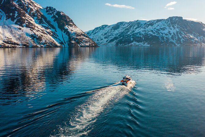 Alta: 2 Hours Guided Adventure Cruise in Alta Fjord - Setting out from Fiskerihavna in Alta