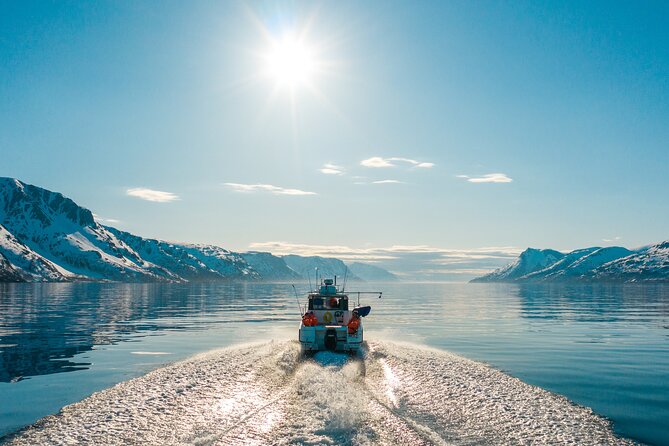 Alta: 2 Hours Guided Adventure Cruise in Alta Fjord - Kåfjord, Tirpitz, and the mining past