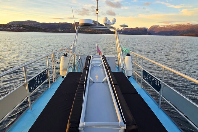 Alta: 2 Hours Guided Adventure Cruise in Alta Fjord - Slow cruising for seals, porpoises, and birds