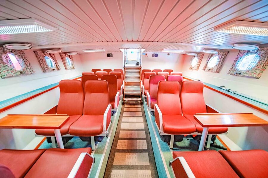 Alta: Altafjord Whale Watching in a Heated Boat - Sea Runner and the value of heated comfort