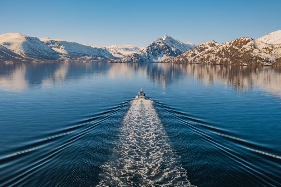 Alta: Altafjord Whale Watching in a Heated Boat - Four hours across the Altafjord