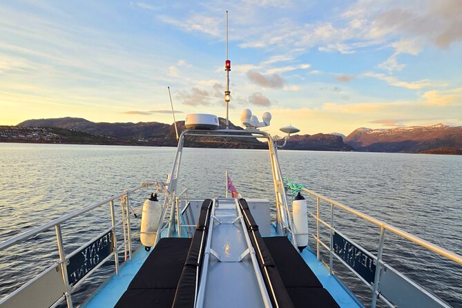 Alta Fjord: Whale Safari Experience - When the weather changes the plan