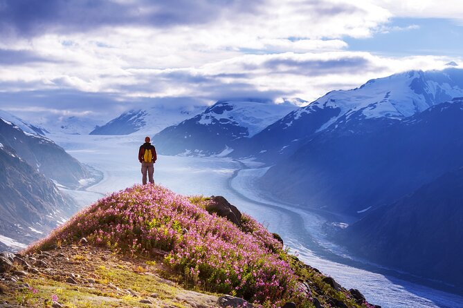 Anchorage: Kenai Fjords & Denali National Park 5 Day 4 Night Tour - Day 5: Sea Life Center and return to Anchorage