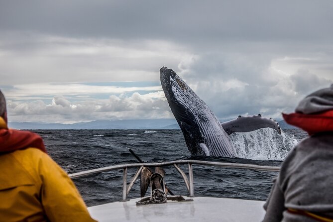 Anchorage: Kenai Fjords & Denali National Park 5 Day 4 Night Tour - The guide can make or break the trip