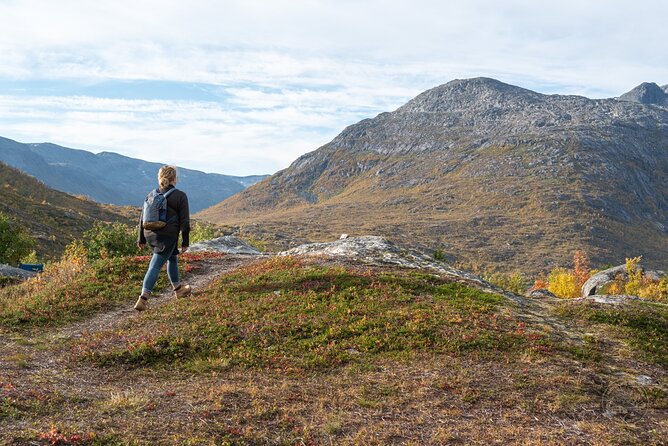 Arctic Fjord Roadtrip with Scenic Picnic from Tromso - Why Kvaløya makes a good half-day escape