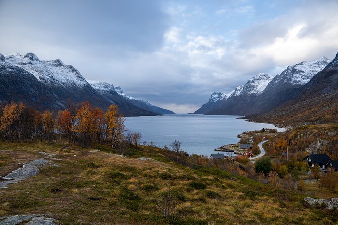 Arctic Fjord Roadtrip with Scenic Picnic from Tromso - Sommarøy and the picnic by the water
