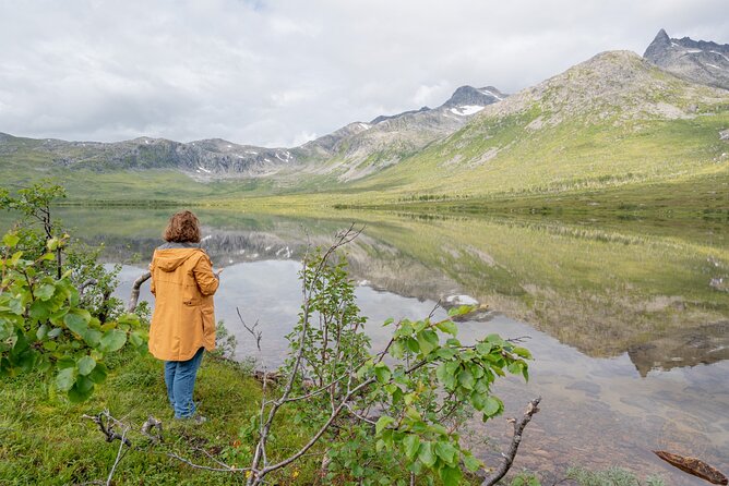 Arctic Fjord Roadtrip with Scenic Picnic from Tromso - The free photos are more useful than they sound