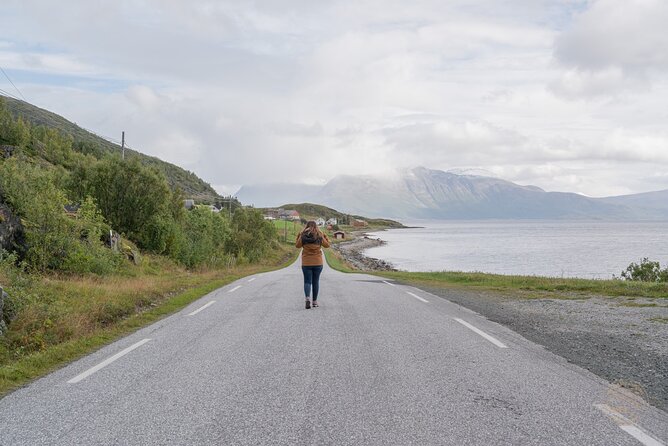 Arctic Fjord Roadtrip with Scenic Picnic from Tromso - Why the guide can make or break the day