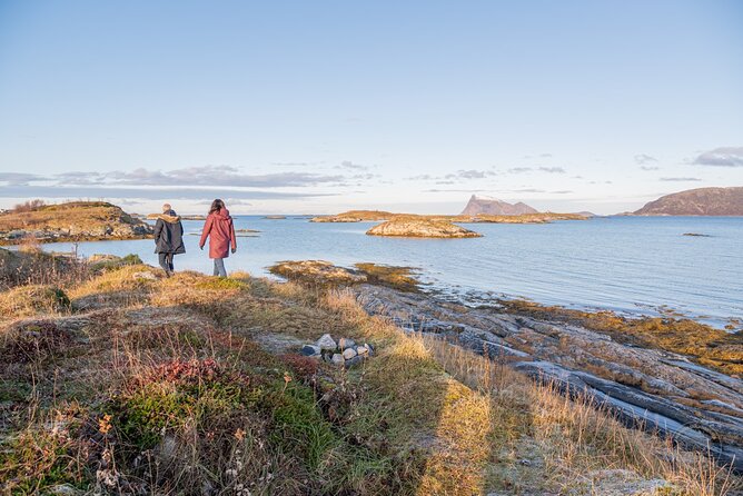 Arctic Fjord Roadtrip with Scenic Picnic from Tromso - Price and value at $151.15