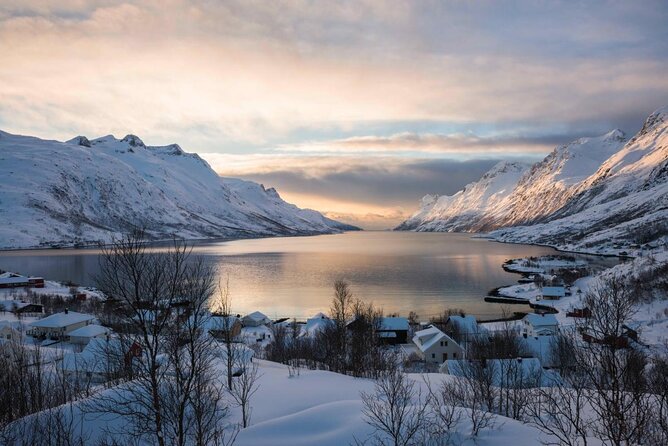 Arctic Fjord Sightseeing by Minibus - Key points at a glance