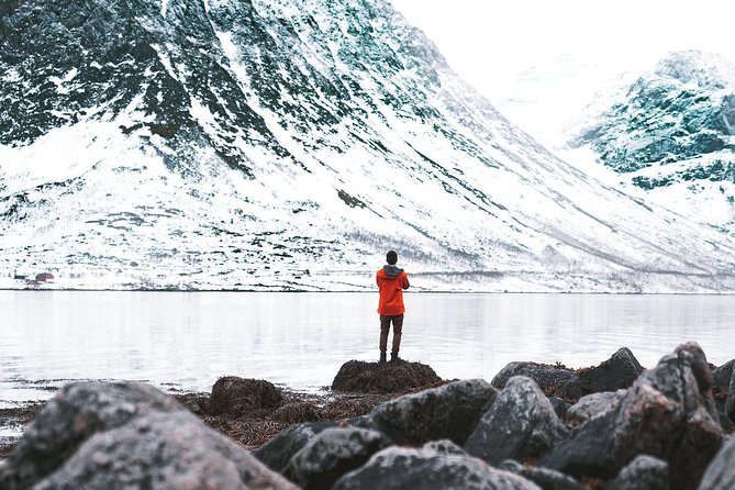 Arctic Fjord Sightseeing by Minibus - Ersfjord: a first taste of Arctic coast