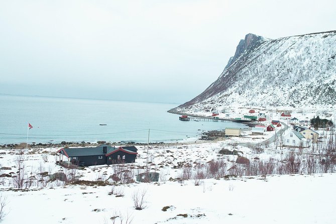 Arctic Fjord Sightseeing by Minibus - What the minibus ride is really like