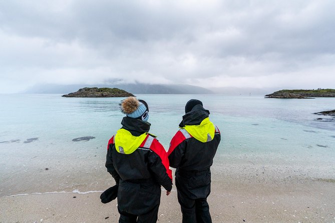 Arctic Fjord Sightseeing by Minibus - Guides can shape the whole day
