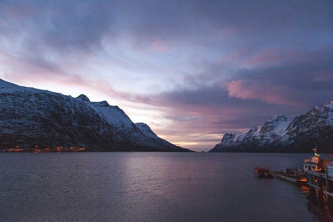 Arctic Fjord Sightseeing by Minibus - Sommarøy brings beaches to the Arctic