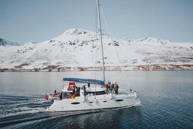Arctic Fjordcruise & Safari in Tromso with Luxury Catamaran - Setting out from central Tromsø