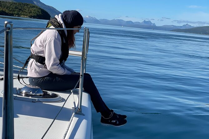 Arctic Fjordcruise & Safari in Tromso with Luxury Catamaran - Tirpitz, the submarine station, and wartime Tromsø