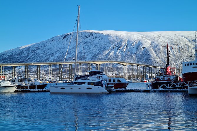 Arctic Fjordcruise & Safari in Tromso with Luxury Catamaran - Comfort in summer, cold in winter
