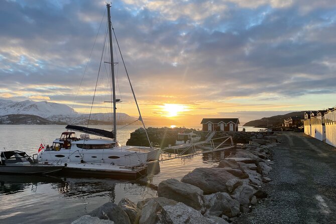 Arctic Fjordcruise & Safari in Tromso with Luxury Catamaran - Rya and the search for wildlife